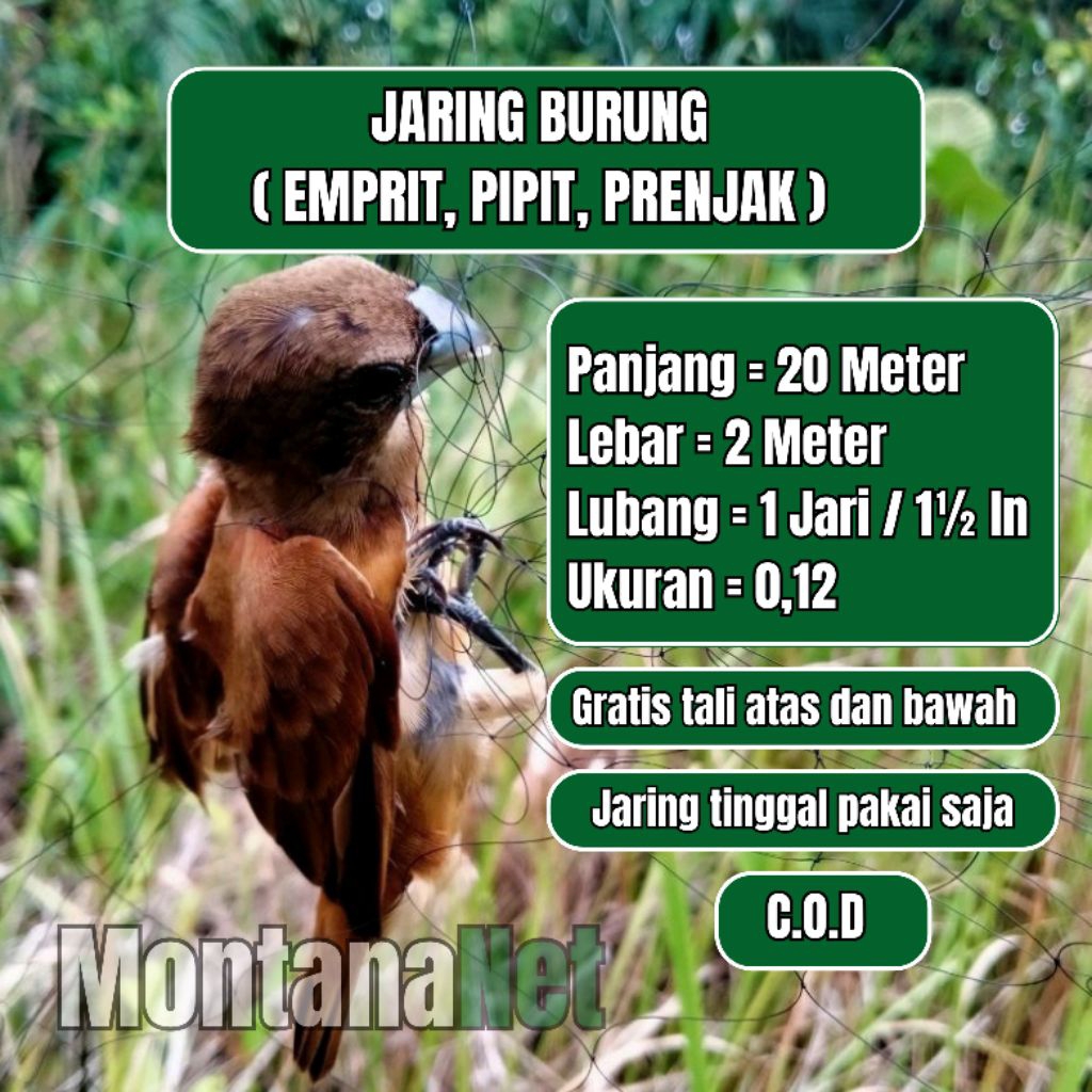 JARING PIPIT JEBAKAN BURUNG SAWAH HAMA PADI JARING BURUNG 20 METER WARNA HITAM