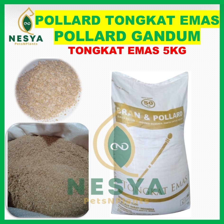 Pollard 5 kg Tongkat Emas Kemasan 5kg Polar Pakan Sapi / Polar Pakan Ternak