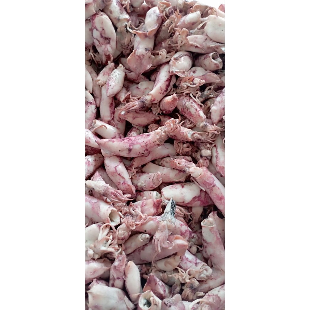 cumi asin Cirebon 100gram kualitas bagus