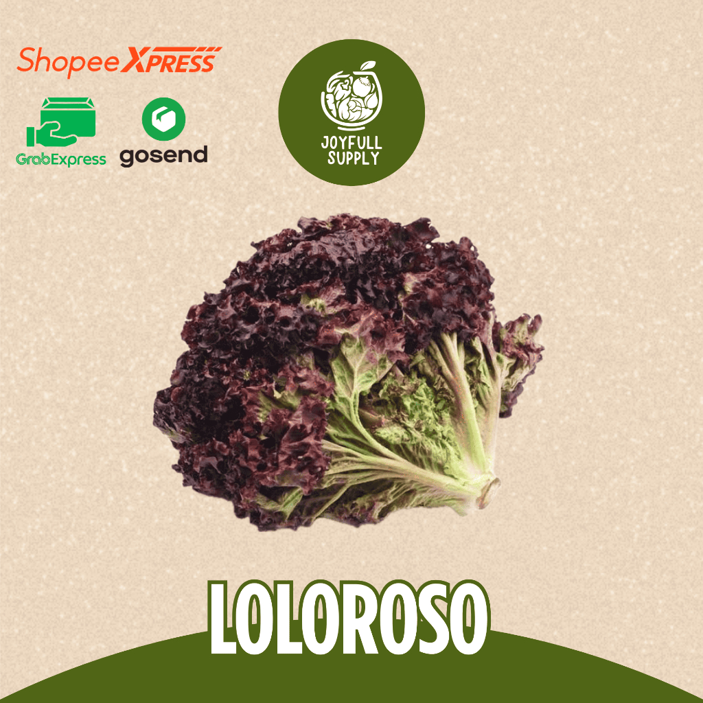 

INSTAN Loloroso / Lettuce Loloroso / Loloroso Red / Joyfull Supply