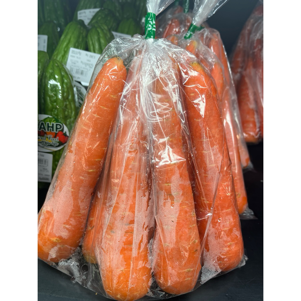 

WORTEL BESAR BUNGKUS