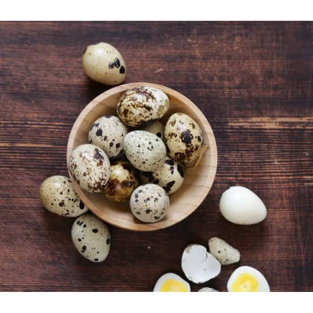 

Telur puyuh rebus belum di kupas isi 25 butir siap saji atau mau di olah lagi