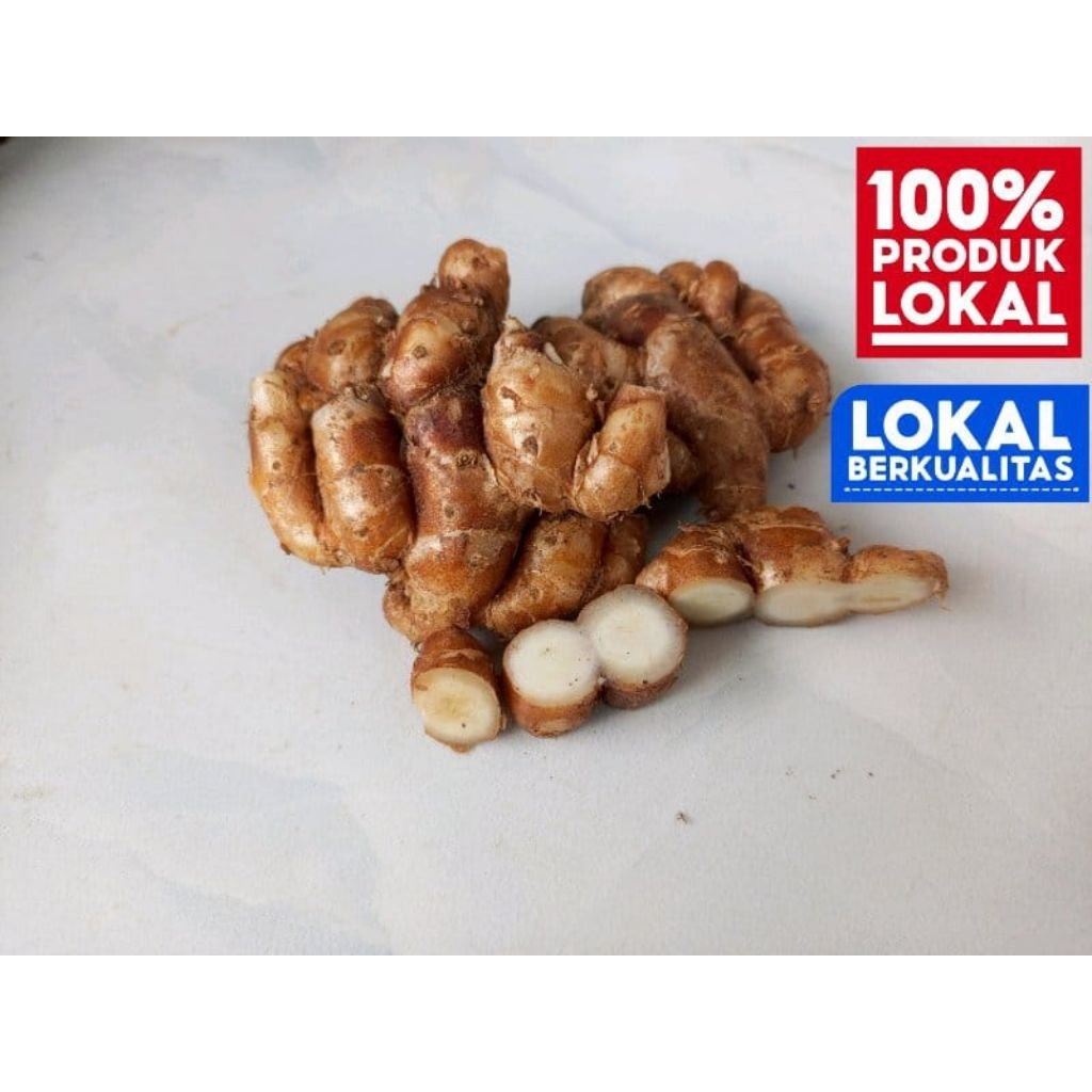 

1kg kencur segar asli pdg banten