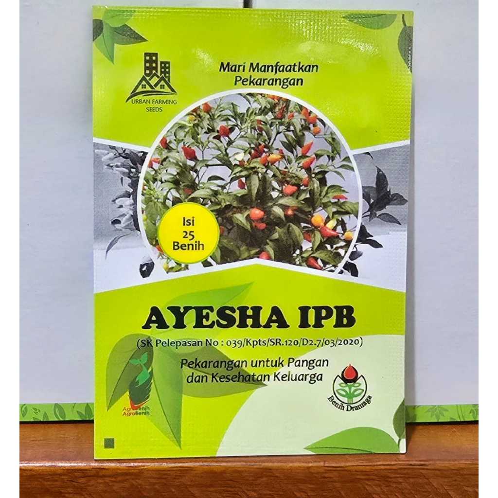 Benih Cabai Hias Ayesha IPB