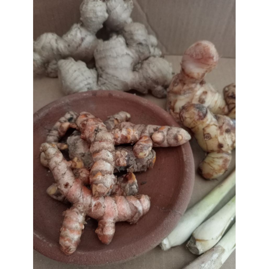 

Kunir/ Kunyit segar 250 grm