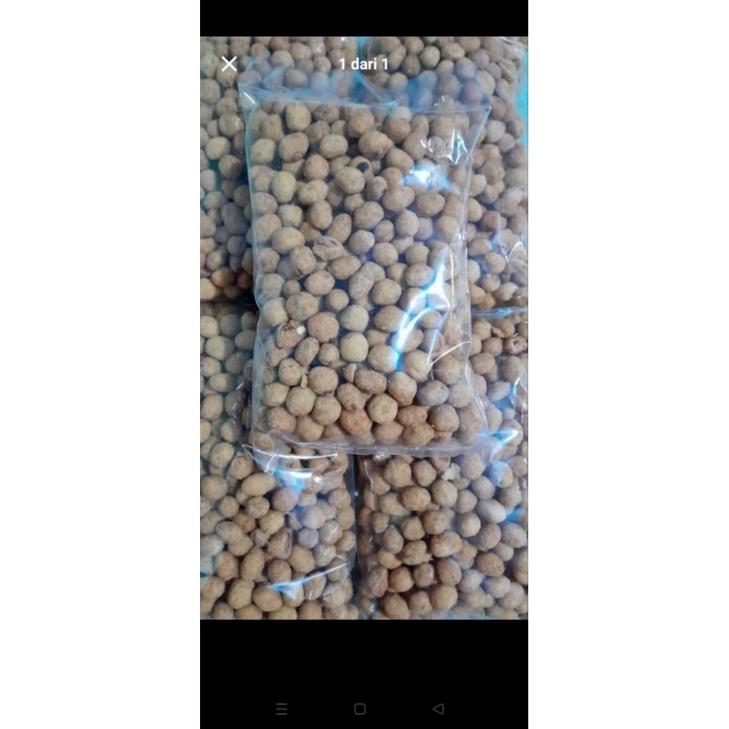 

kacang telur
