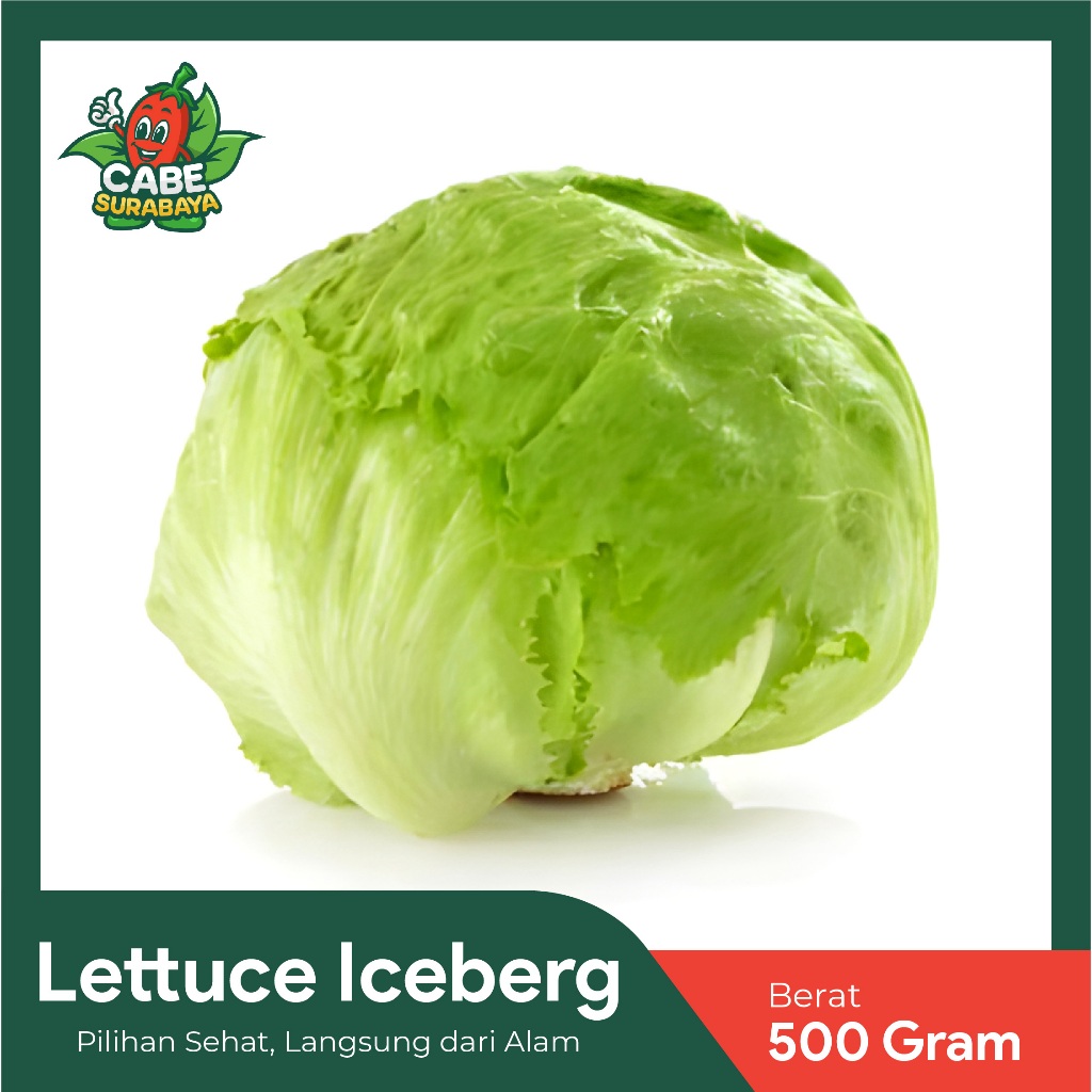 

Iceberg Lettuce 500gr / Lettuce Head / Selada bokor / Sayuran Segar / Sayuran Organik / Sayur Surabaya