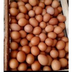 

Telur Ayam Negri 1kg