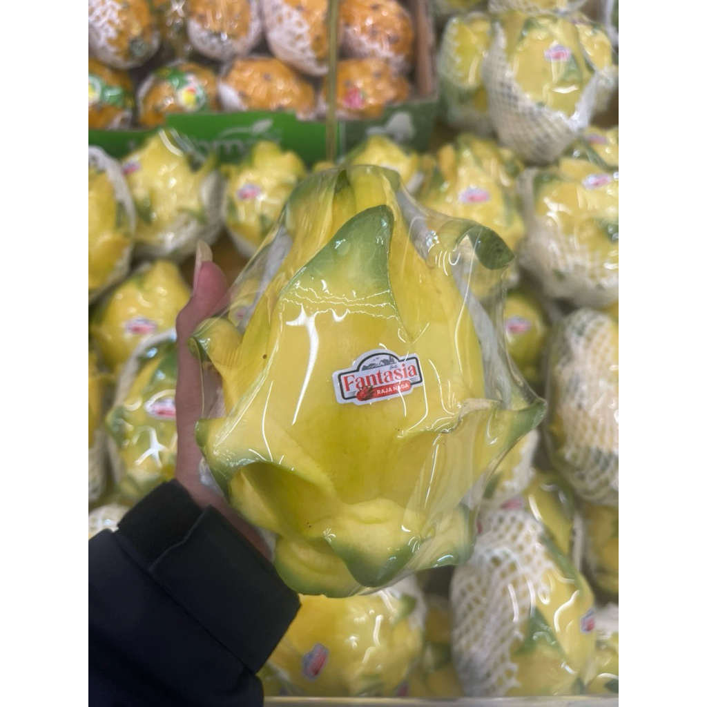 

Dragon Yellow Sweet | Buah Naga Kuning Fresh 1kg