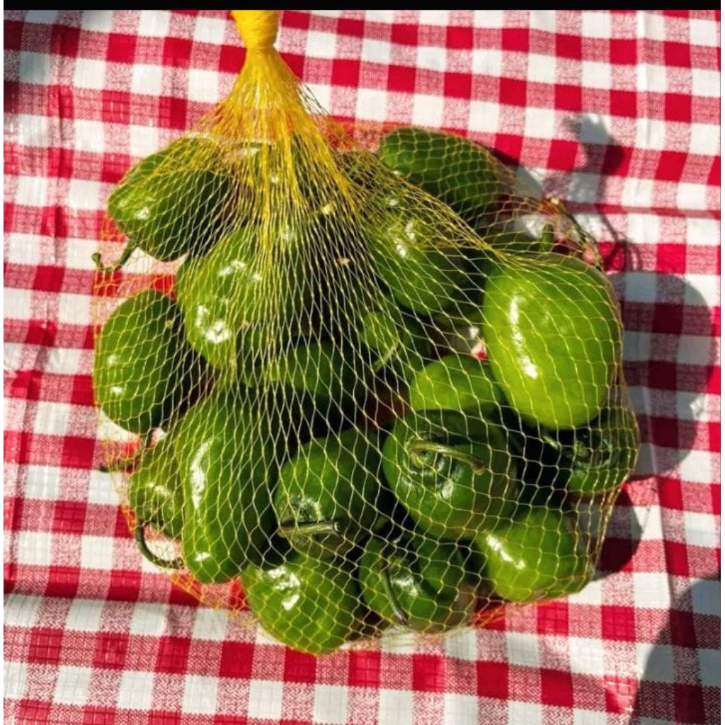

1000GRAM Cabe Gendot Segar Berkualitas Dari petani Garut
