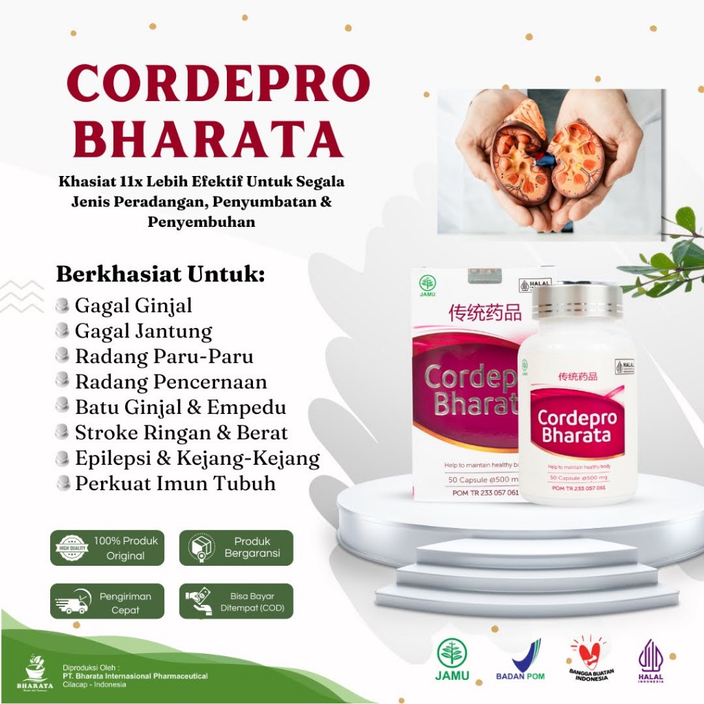 Cordepro Bharata | Obat TBC Paru | Paru Paru Basah | Obat TBC Ampuh | Obat Asma 100% Original