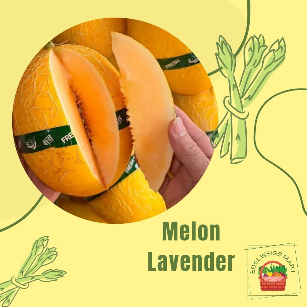 

MELON LAVENDER - INSTANT SEMARANG