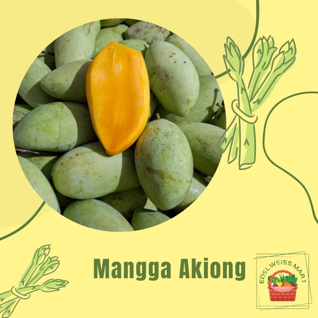 

MANGGA AKIONG 1kg - INSTANT SEMARANG