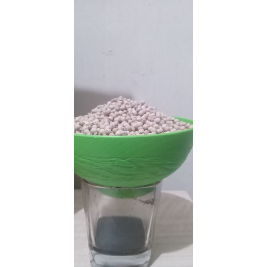 

Lada putih butiran sedang