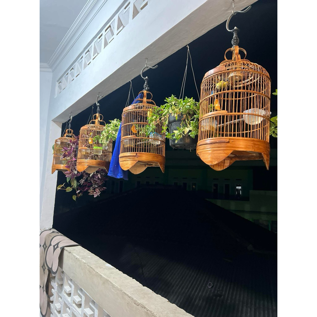 sangkar kurung pleci replika cungkok minimalis