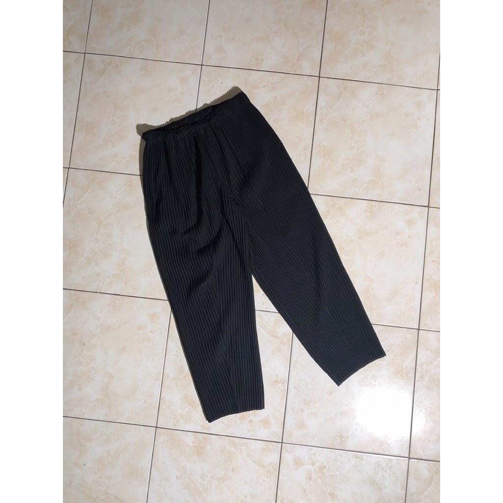 Homme plisse issey miyake pants