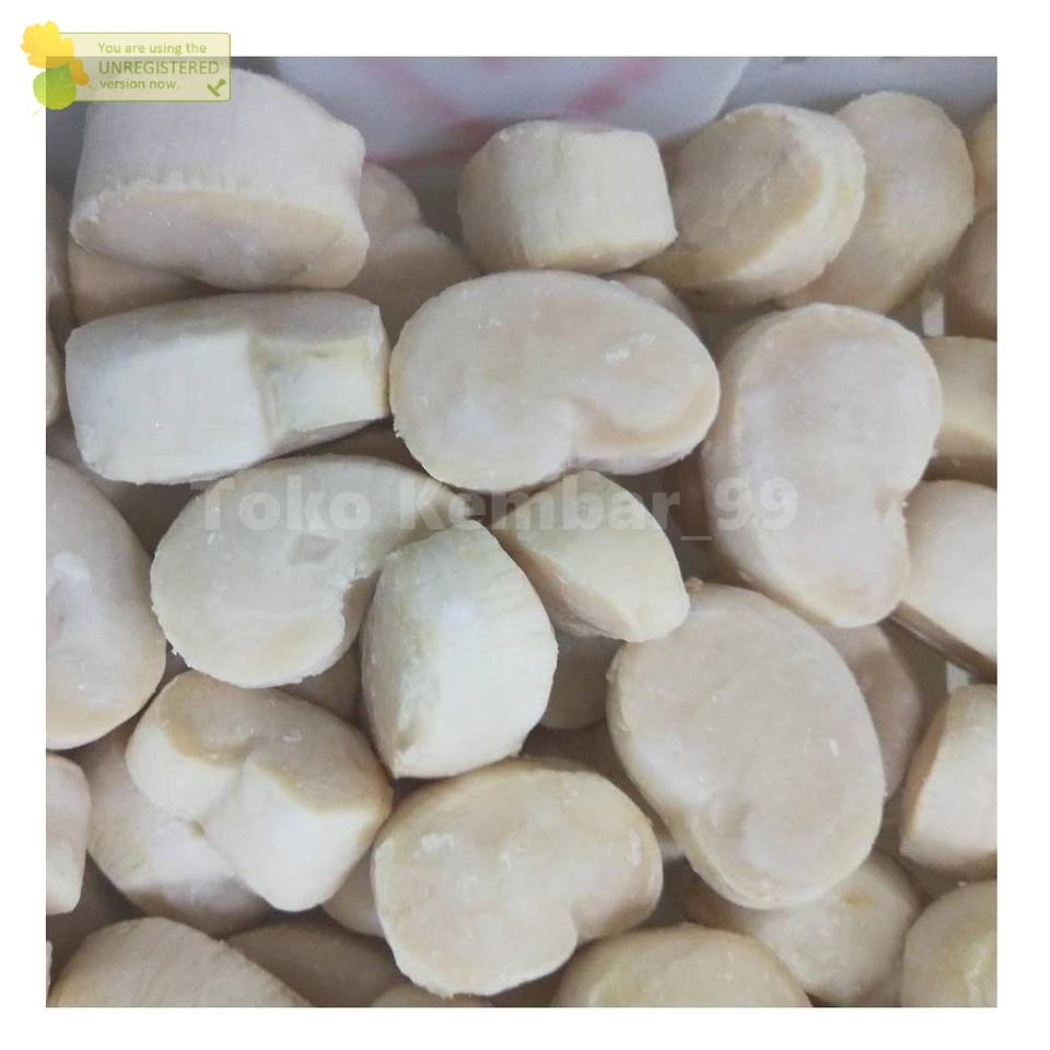 

Scallop Daging Kerang 1Kg