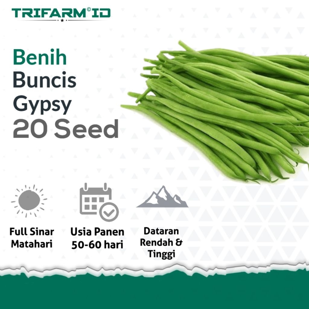 TRIFARM 20 Biji Benih Bibit Buncis Tegak Gypsy Repack Kemasan Ziplock