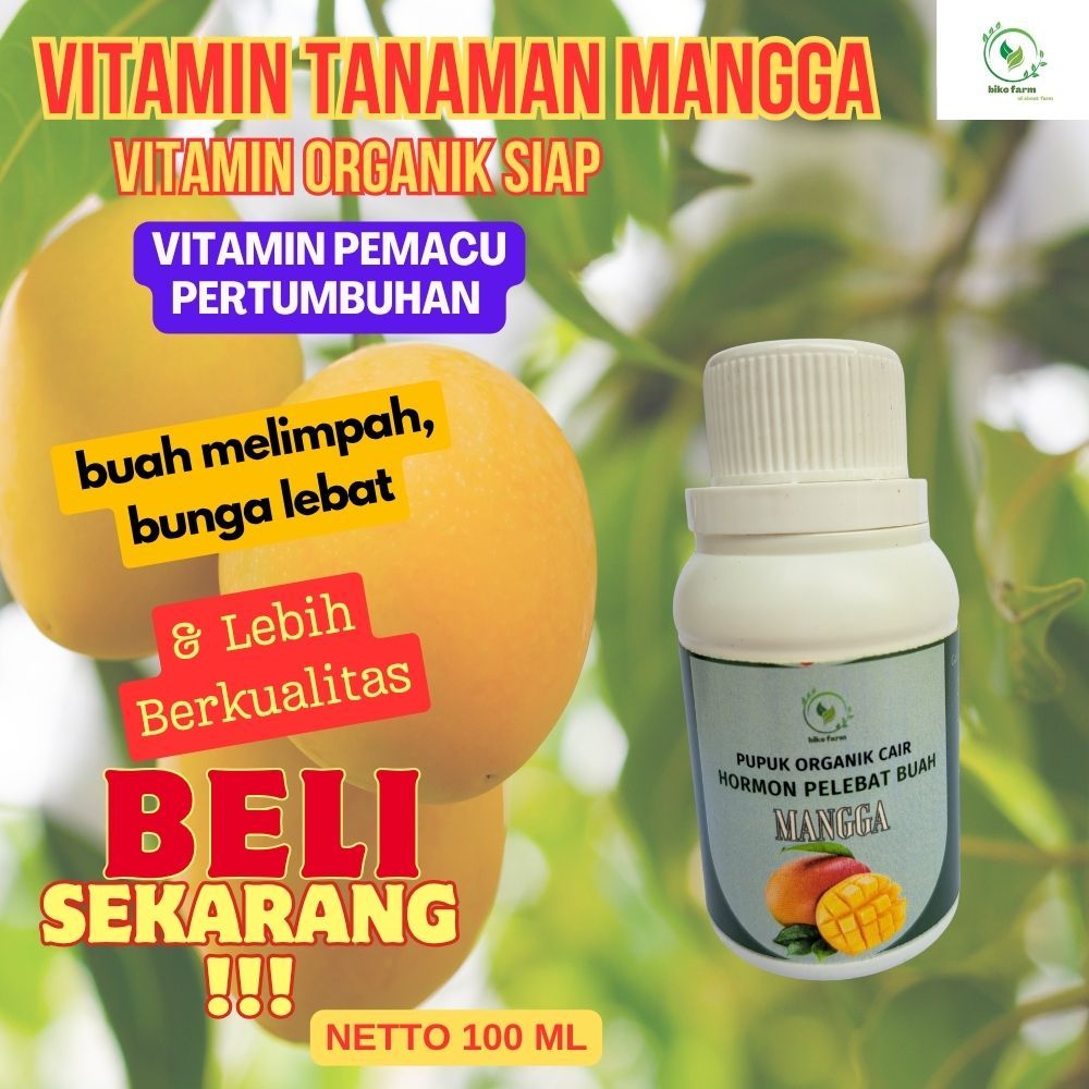 Pupuk Organik Cair Pelebat Buah Mangga. Pupuk Organik Cair Pembesar Buah Mangga
