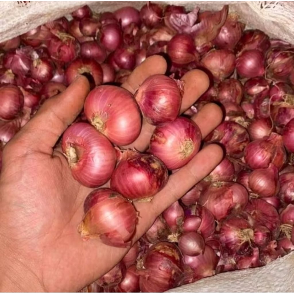 

Bawang Merah Kering dan Bersih 500gr