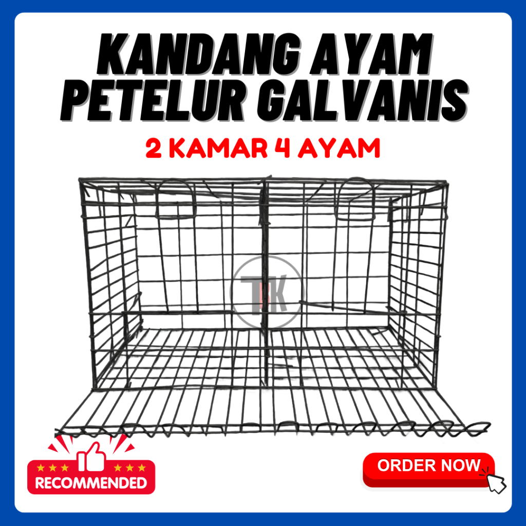 Kandang Ayam Petelur/Baterai 4 Ayam 2 Kamar | Galvanis