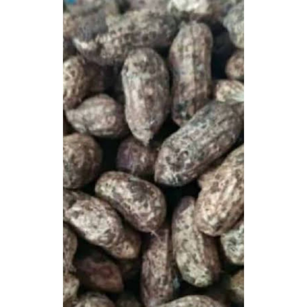 

kacang tanah kulit 1000gr