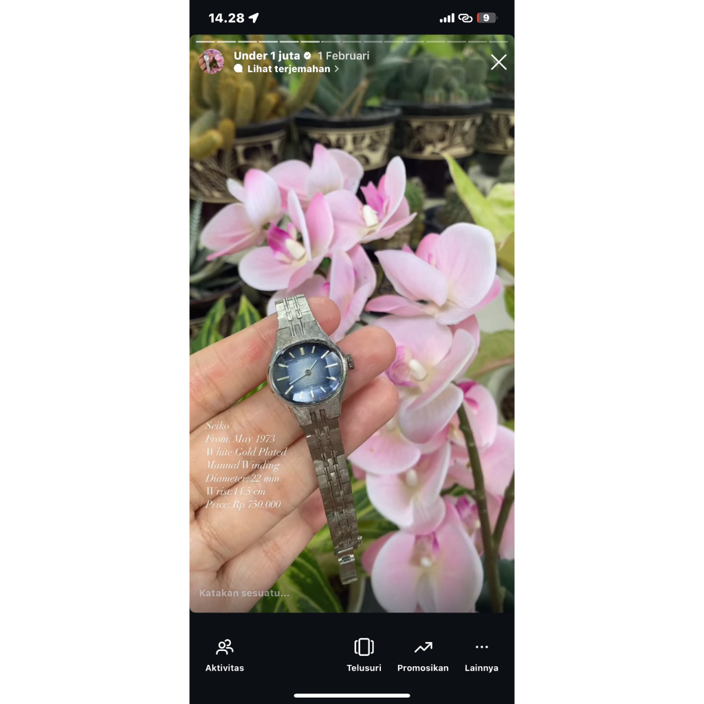 seiko vintage watch dial blue