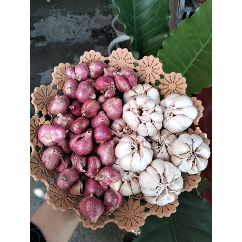 

Paket Hemat Bawang Merah Bawang Putih Sinco dan Kating Kemasan 1 kg