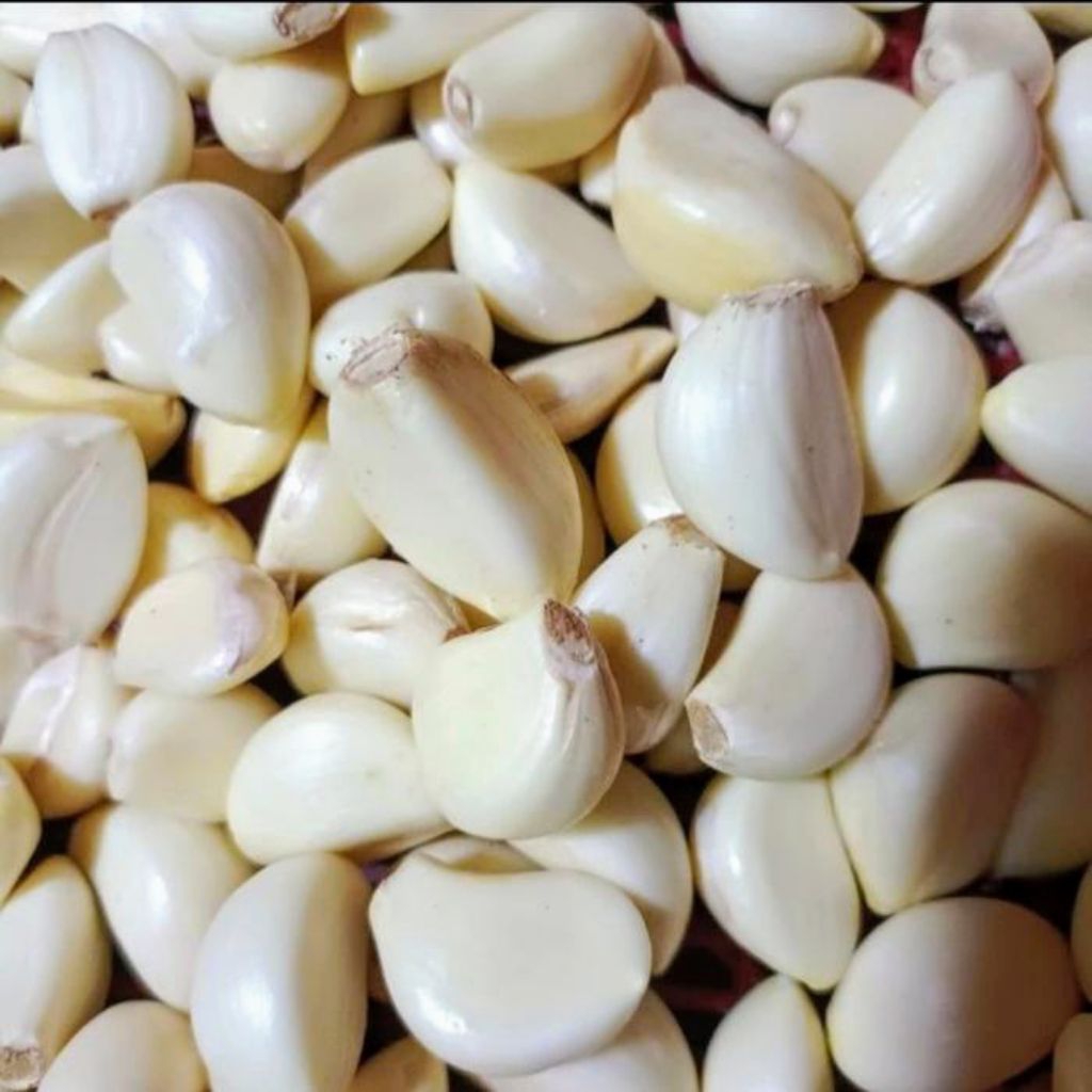 

bawang putih kupas terlaris