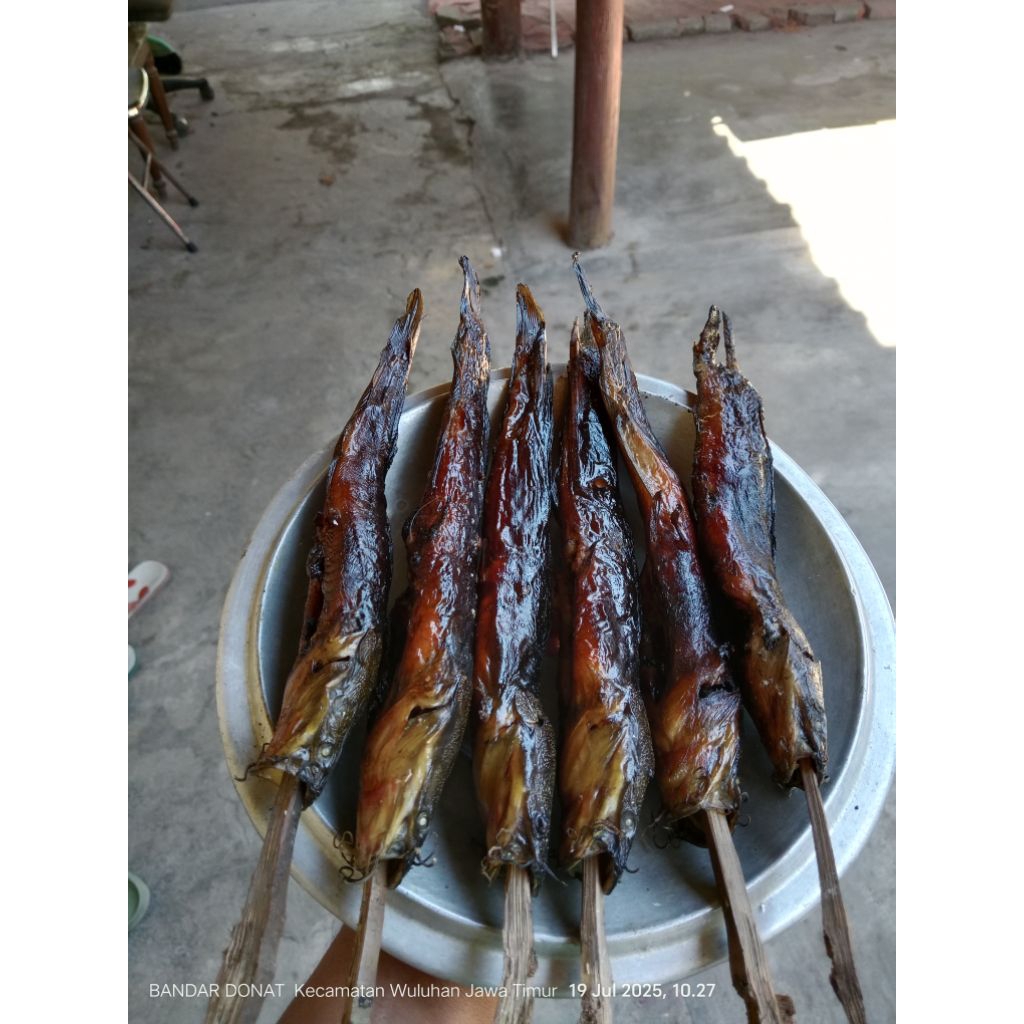 

LELE ASAP HOME MADE/PORSI ISI 6