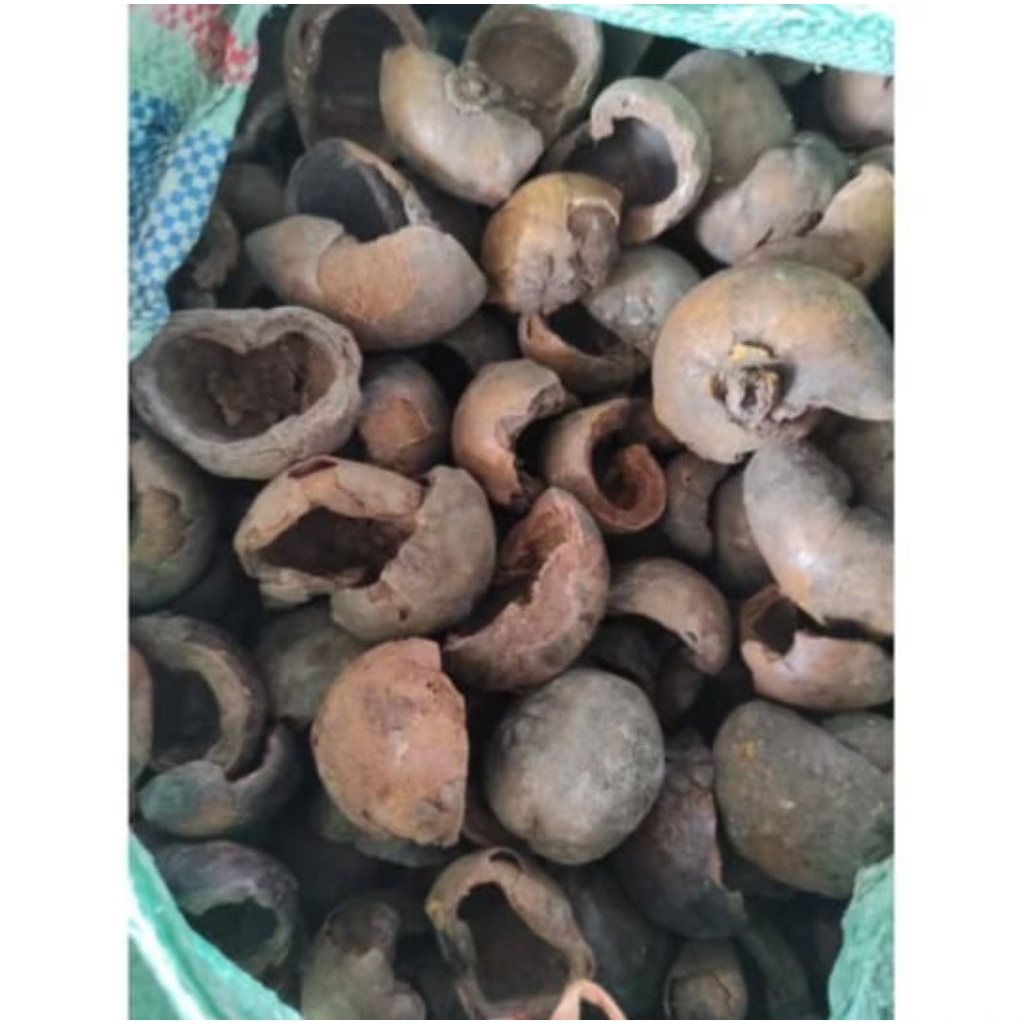 

KULIT MANGGIS KERING