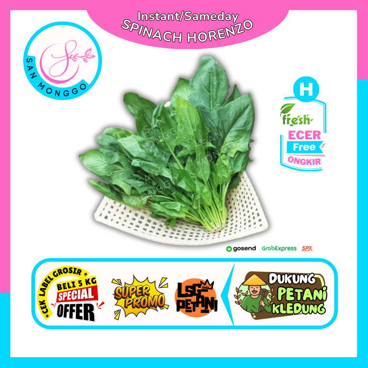 

Sanmonggoo || Bayam Poileng / Bayam Horenzo -- Hasil Bumi Sindoro Sumbing Ecer (H)