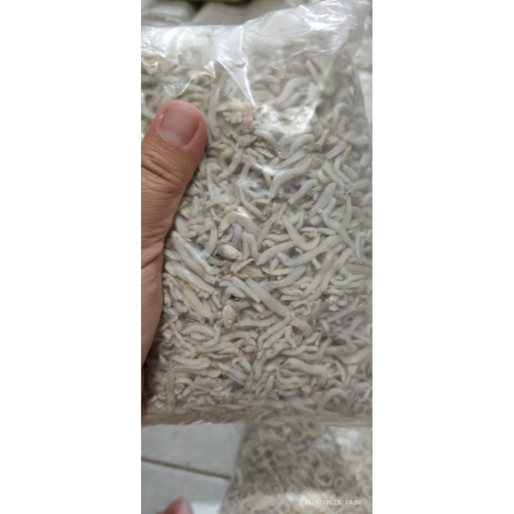 

Ikan teri nasi medan kemasan 1kg