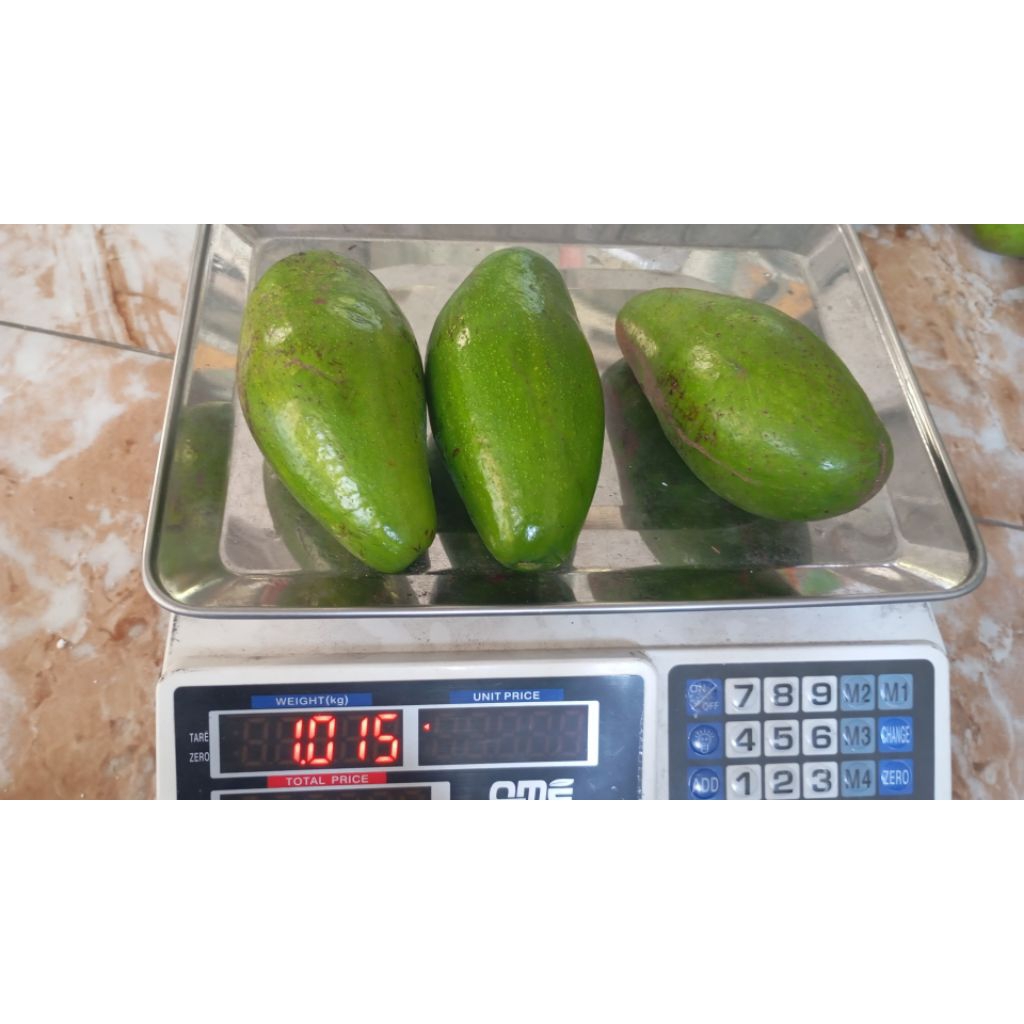 

Alpukat Mentega 2 Kg isi 5-7Buah