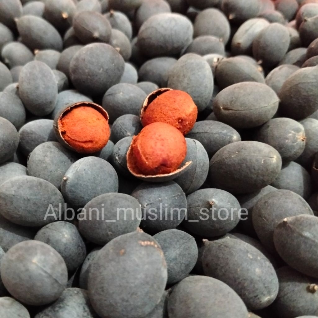 

Buah asam Kranji menurunkan kolesterol asam urat diabetes insulin sembelit pencernaan magh