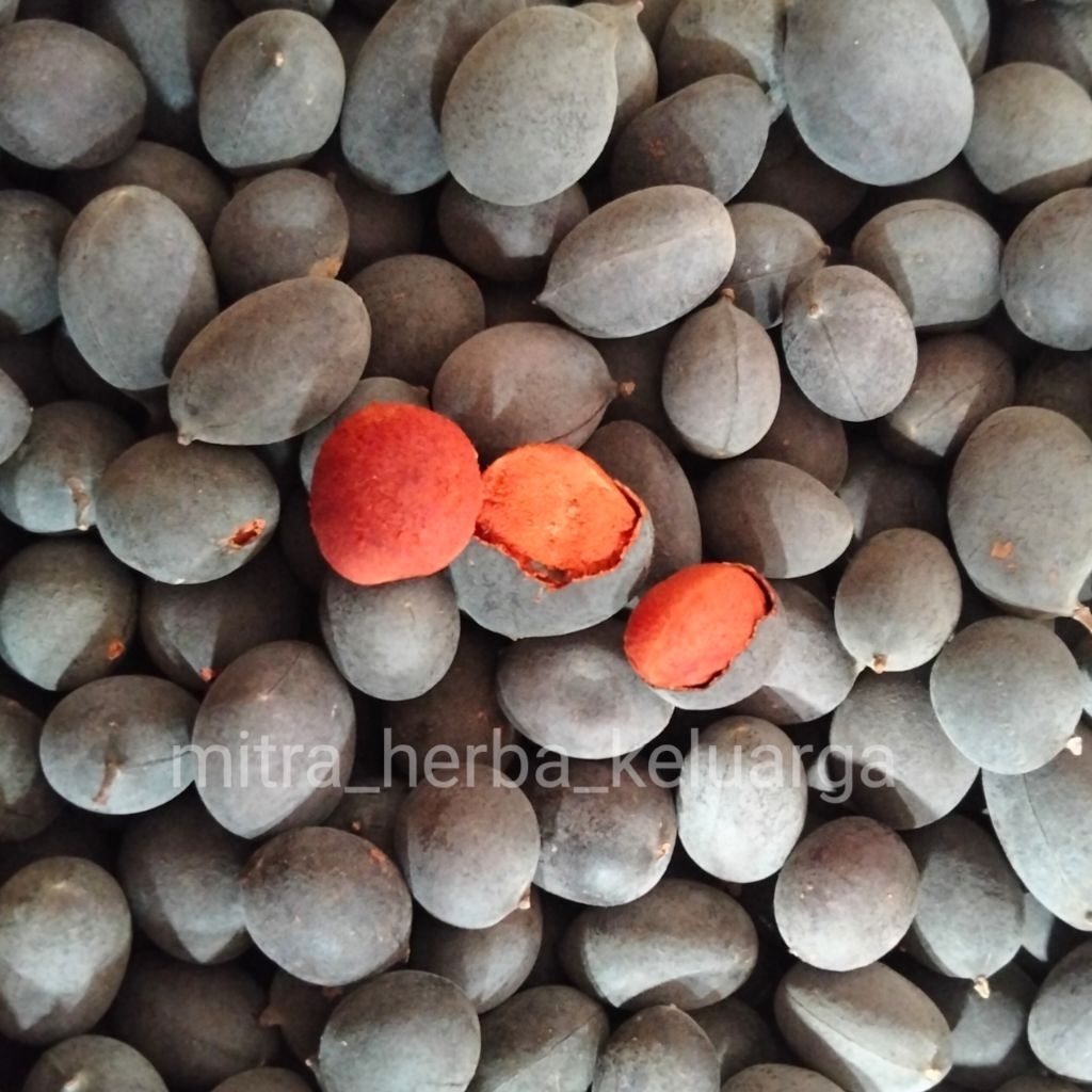 

BUAH ASAM KRANJI membantu menurunkan kolesterol asam urat insulin diabetes sembelit