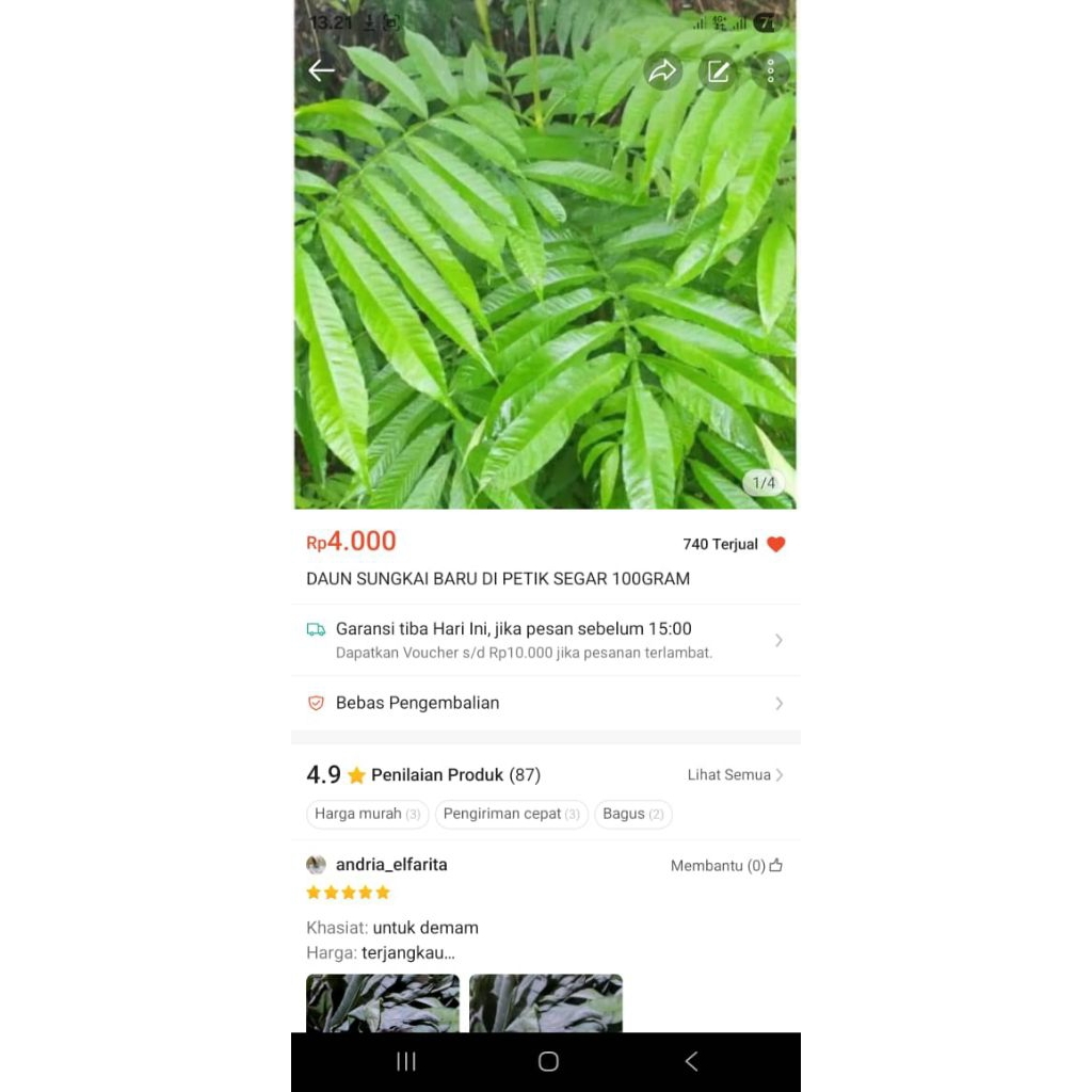 

DAUN SUNGKAI BARU DIPETIK SEGAR 100 GRAM