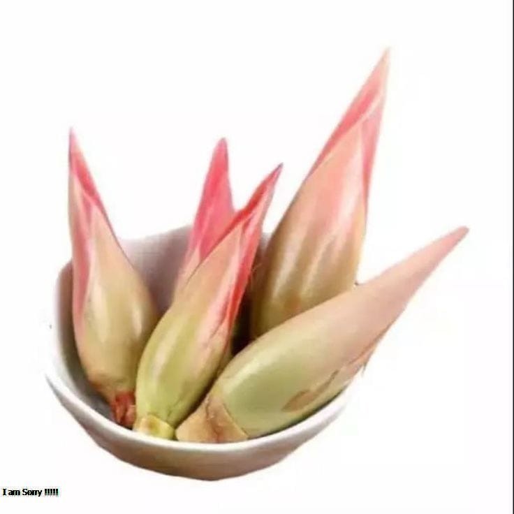 

Bung Kecombrang Segar 1kg