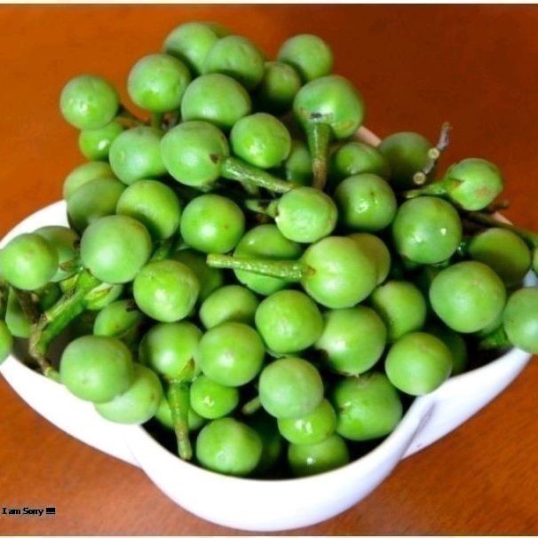 

TAKOKAK CEPOKAK/TERUNG PIPIT SEGAR 500gram