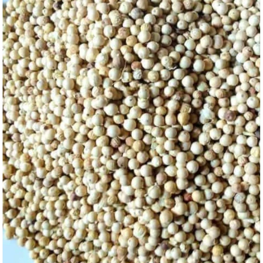 

Lada Putih | White Pepper Kualitas Super