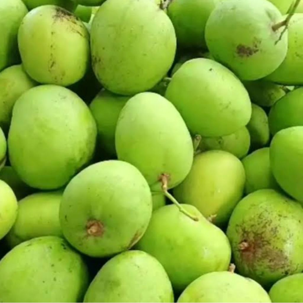 

paket luar kota buah mangga mentah kecut min 2kg