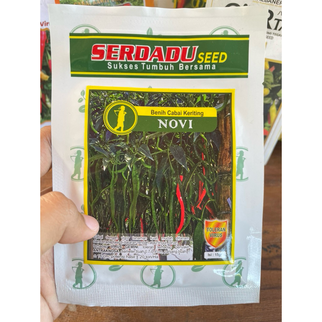 

Benih Cabai Keriting Novi Toleran Virus
