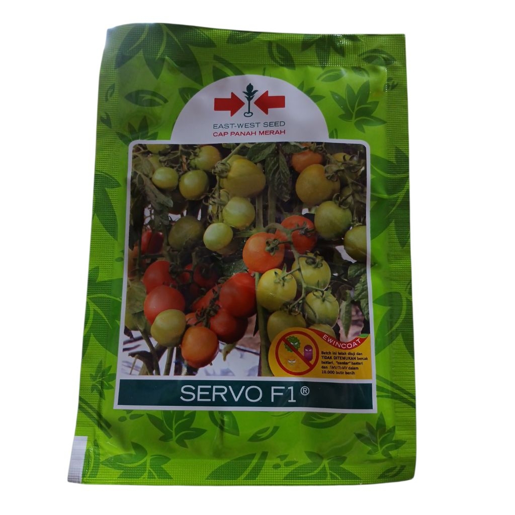 Bibit tomat servo F1