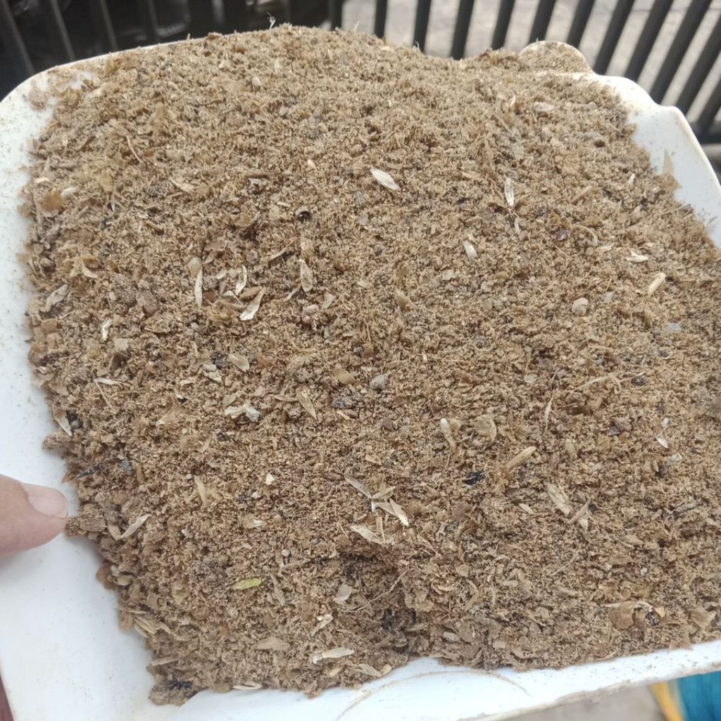 konsentrat sapi , domba, kuda anakan, indukan bunting pakan ternak