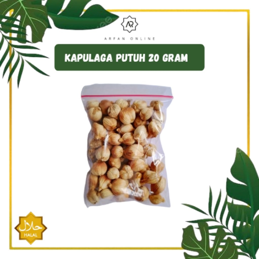 

kapulaga putih rempah 20 gram