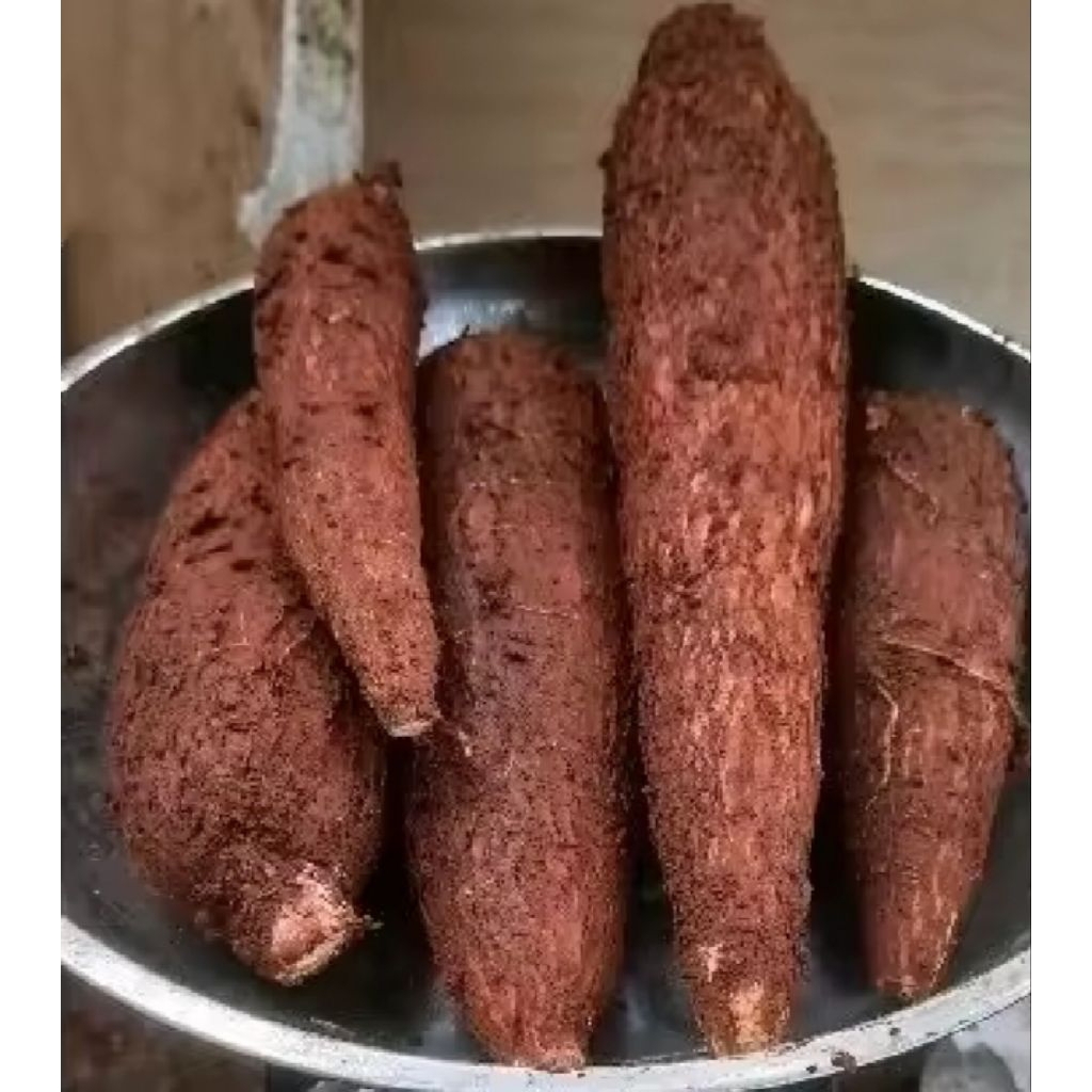 

umbi Singkong 1kg