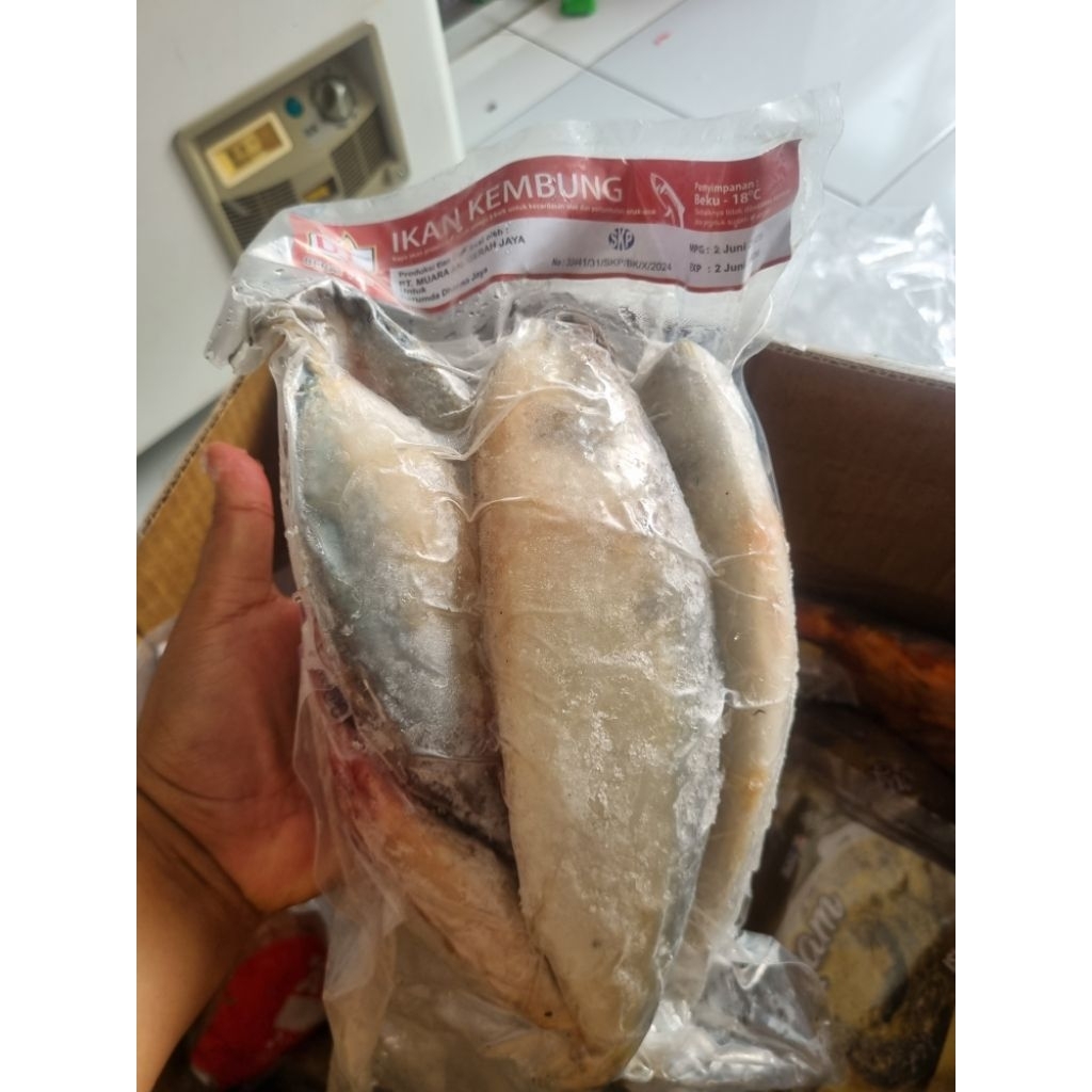 

Ikan kembung fresh 1kg