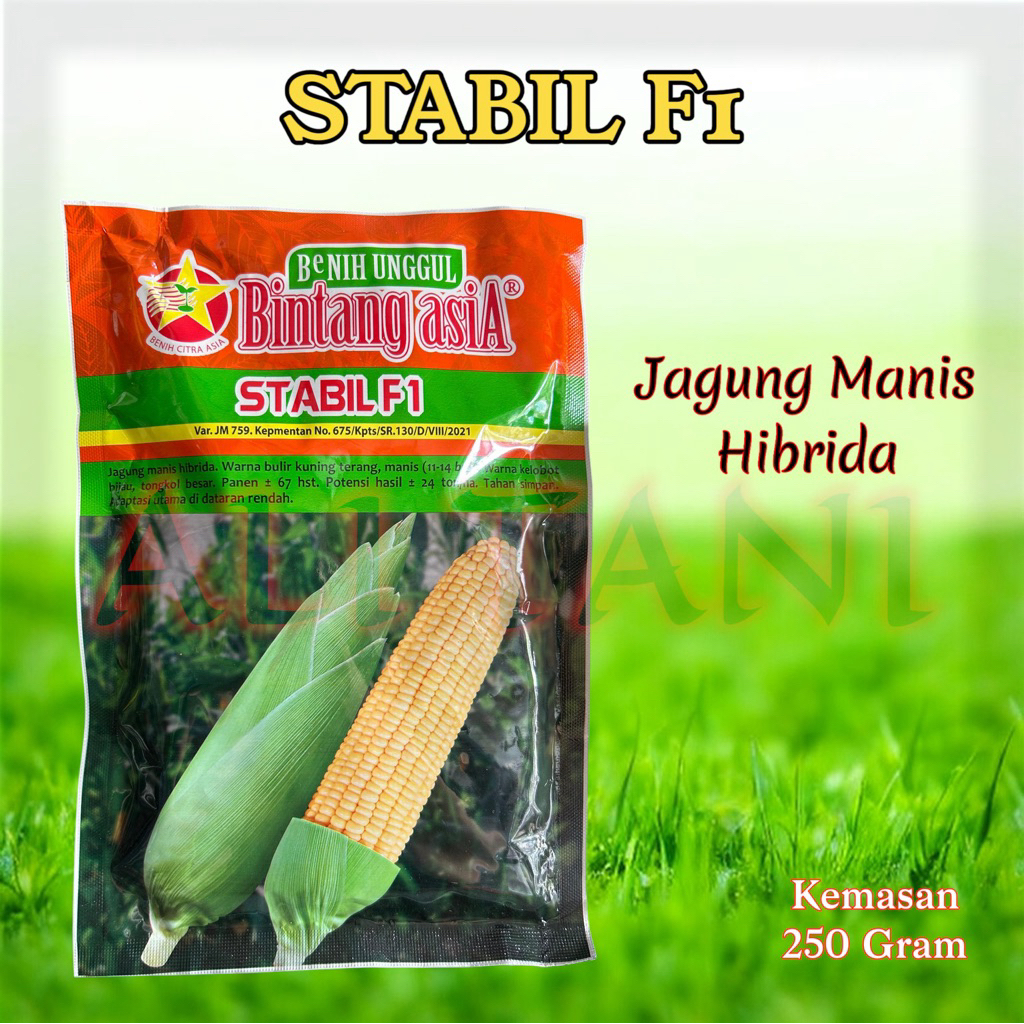 

STABIL F1 Jagung Manis Bintang Asia Kemasan 250 GR