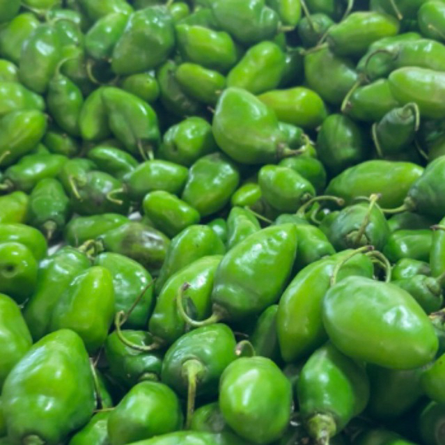 

CABE GENDOT / BENDOT FRESH MURAH DAN PEDAS