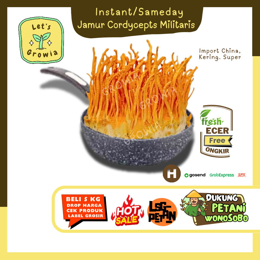 

Growia || Jamur Cordyceps Militaris -- Hasil Petani Langsung Ecer Sayur Gunung (H)